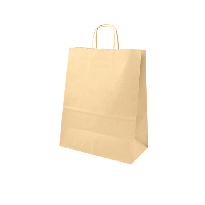 BOLSAS DE PAPEL CON MANIJA 1/6 30 + 18 x 41