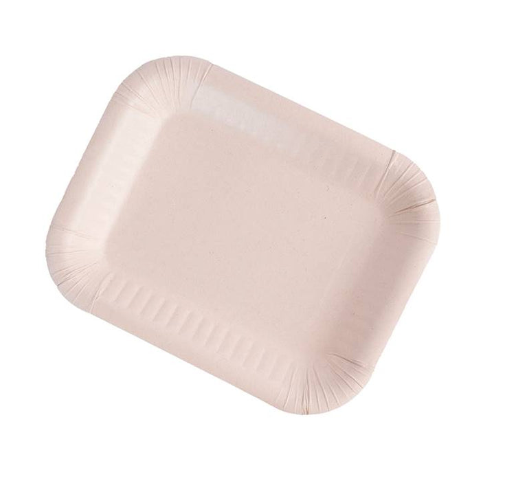 BANDEJA 3 BIOFORM X 20 UND