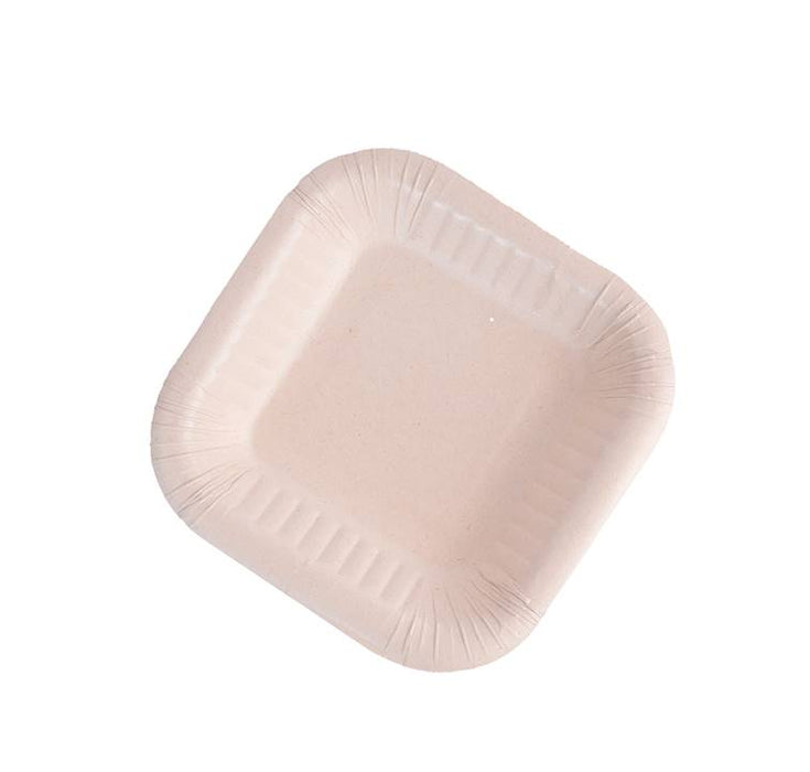 BANDEJA 1 BIOFORM X 20 UND